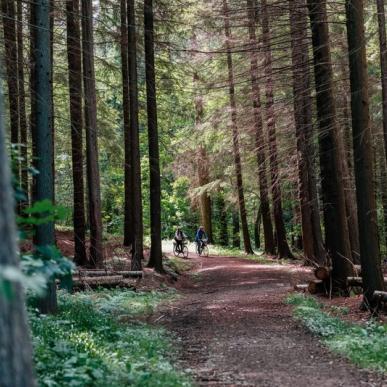 Denemarken vakantie? Fiets rondom Naturpark Lillebælt en ontdek IJstijdlandschappen