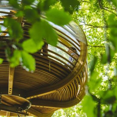 Overnacht tussen de boomtoppen in The Nest in Aabenraa in Zuid Jutland, Denemarken